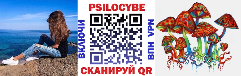 blacksprut   Вяземский  Псилоцибиновые грибы прущие грибы 